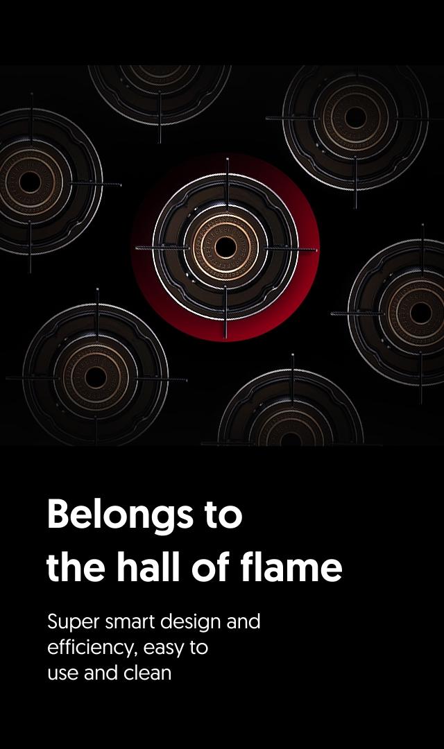 Buy Preethi Gas Stoves Online, Cooktop Gas Stove Preethi Online Store