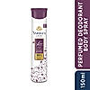 Lace Satin Deo 150ml