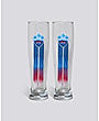 DC Thirst Crusher Glass (Set of 2) - Roar for the Capital