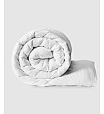 Mussette 600 TC 100% Cotton Ultra Luxurious White Solid Print Double Comforter