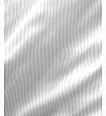 Mussette 600 TC 100% Cotton Ultra Luxurious White Solid Print Double Comforter