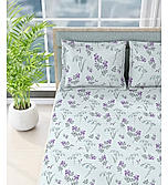 Valatia 200 TC 100% Cotton Blue Printed Flat King Bedsheet with 2 Pillow Covers