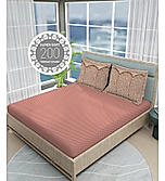 Heritage Walk Super Fine 100% Egyptian Cotton 200 TC Ethnic Print King Bedsheet with 2 Pillow Covers