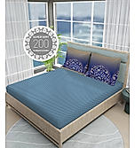 Heritage Walk Super Fine 100% Egyptian Cotton 200 TC King Ethnic Print King Bedsheet with 2 Pillow Covers