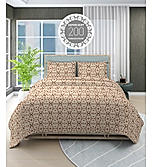 Alpha Geo Valatia 100% Cotton 200 TC Plain Weave Ethnic Print King Bedsheet with 2 Pillow Covers
