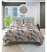 Alpha Geo Valatia 100% Cotton 200 TC Plain Weave Geometric Print King Bedsheet with 2 Pillow Covers