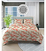 Alpha Geo Valatia 100% Cotton 200 TC Plain Weave Geometric Print King Bedsheet with 2 Pillow Covers