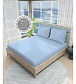 Radiance 825 TC Cotton Polyester Blended Fabric Satin Weave Blue King Bedsheet with 2 Pillow Covers
