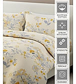 Siesta 100% Cotton 200 TC Floral Print King Bedsheet with 2 Pillow Covers