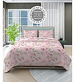 Siesta 100% Cotton 200 TC Floral Print King Bedsheet with 2 Pillow Covers