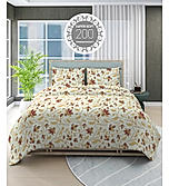Siesta 100% Cotton 200 TC Floral Print King Bedsheet with 2 Pillow Covers