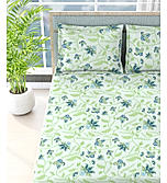 Siesta 100% Cotton 200 TC Floral Print King Bedsheet with 2 Pillow Covers