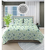 Siesta 100% Cotton 200 TC Floral Print King Bedsheet with 2 Pillow Covers