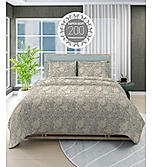 Siesta 100% Cotton 200 TC Floral Print King Bedsheet with 2 Pillow Covers