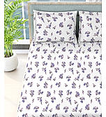 Nature Bouquet 100% Cotton 300 TC Floral Print Scented King Bedsheet with 2 Pillow Covers (Lavender Fragrance)