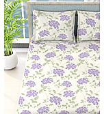 Nature Bouquet 100% Cotton 300 TC Printed Scented King Bedsheet with 2 Pillow Covers (Lavender Fragrance)