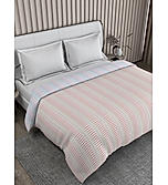 Iris Gaze 100% Fine Cotton Beige Stripes Print Double Reversible Comforter