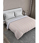 Iris Gaze 100% Fine Cotton Beige Stripes Print Double Reversible Comforter