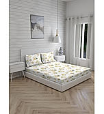 Iris Gaze 100% Cotton 160 TC Multicolor Floral Print King Bedsheet with 2 Pillow Covers