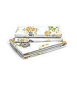 Iris Gaze 100% Cotton 160 TC Multicolor Floral Print King Bedsheet with 2 Pillow Covers