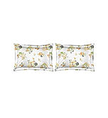 Iris Gaze 100% Cotton 160 TC Multicolor Floral Print King Bedsheet with 2 Pillow Covers