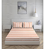Signature Sateen 100% Cotton 300 TC Coral Stripes Print Anti Viral King Bedsheet with 2 Pillow Covers