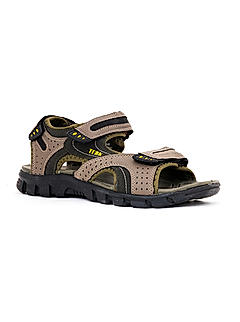 Turk Olive Floater Sandal for Men