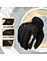 Night Wing Motorcycle Gloves