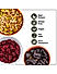 Wonderland Foods - Dry Fruits Gift Box 400g Pouch | Mixed Seeds 200g, Sliced Cranberries 100g And Prunes 100g | Gift For Family | Corporate Gift Combo