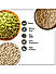 Wonderland Foods - Raw (Unroasted) Pumpkin, Sunflower & Watermelon Seeds Combo 750g (250g X 3) Pouch | Healthy & Tasty | Immunity Booster High Rich Protein