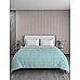 Iris Gaze 100% Cotton Fine Blue Colored Ethnic Print Double Reversible Comforter