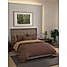 Kalpavriksha 300 TC 100% cotton Ultra Fine Brown Colored Solid Print King Bed Sheet Set