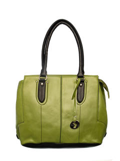 Khadim Women Green Handbag