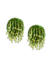 Fida Olive Green Beaded Boho Earrings For Women
