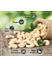 Wonderland Foods Plain Raw Cashews Nuts 500 grams (w400) (400 Pieces in a Pound)
