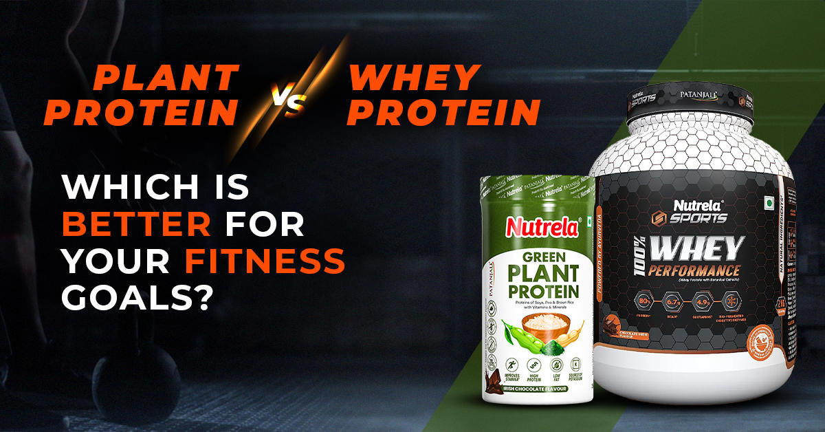 Plant Protein vs Whey Protein