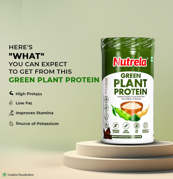 plant based protein powder