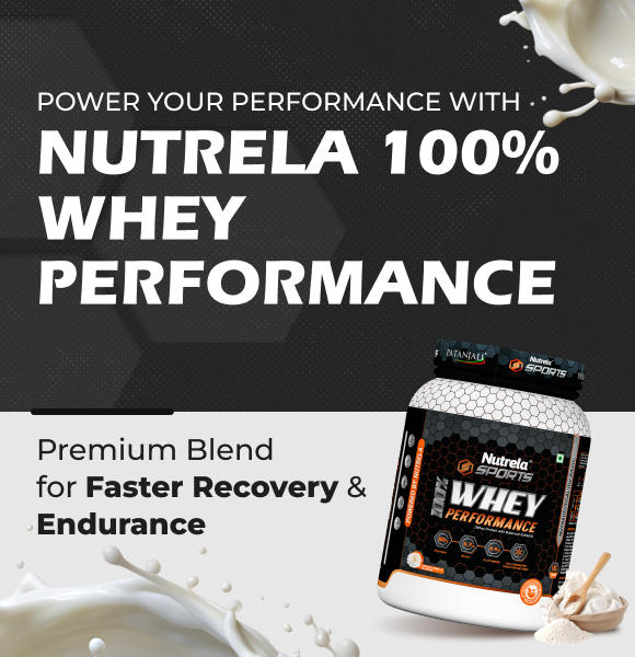 whey protein french vanilla