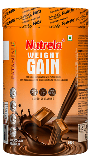 Weight Gainer Protein Chocolate