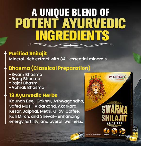 Patanjali Swarna Shilajit Capsule 