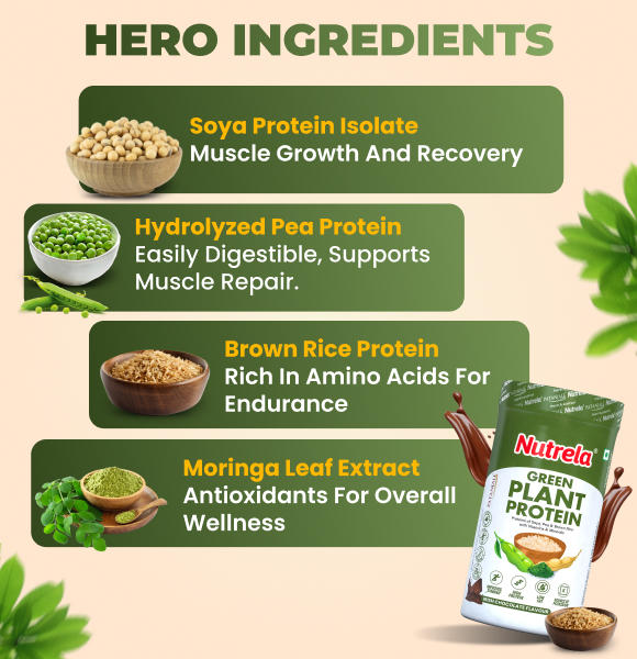 plant based protein powder