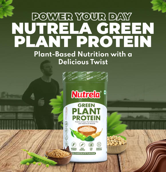 plant protein powder